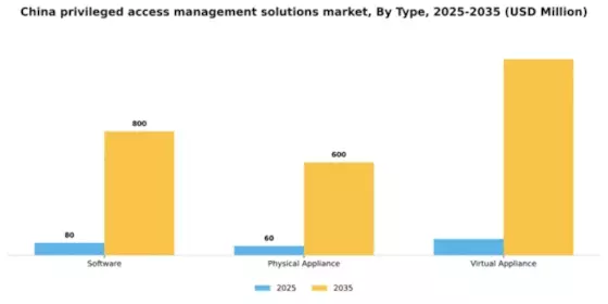 China Privileged Access Management Solutions Market Segment Image 1