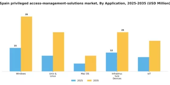 Spain Privileged Access Management Solutions Market Segment Image 0
