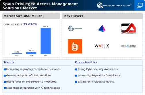 Spain Privileged Access Management Solutions Market Infographic