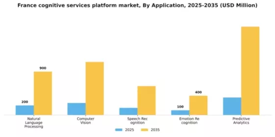 France Cognitive Services Platform Market Segment Image 0