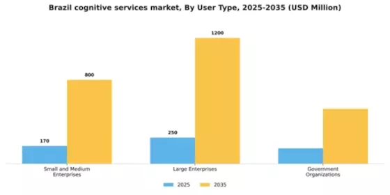 Brazil Cognitive Services Platform Market Segment Image 3