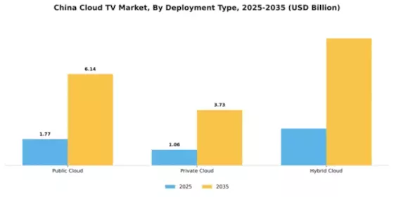 China Cloud Tv Market Segment Image 1