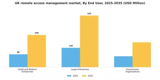 UK Remote Access Management Market Segment Image 1