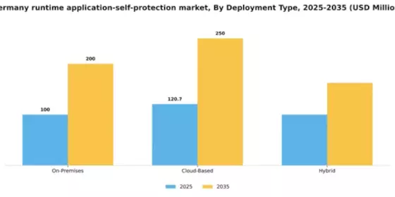Germany Runtime Application Self Protection Market Segment Image 1