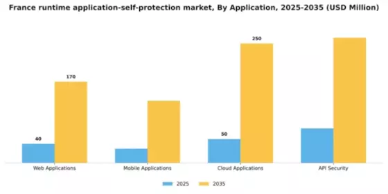France Runtime Application Self Protection Market Segment Image 0