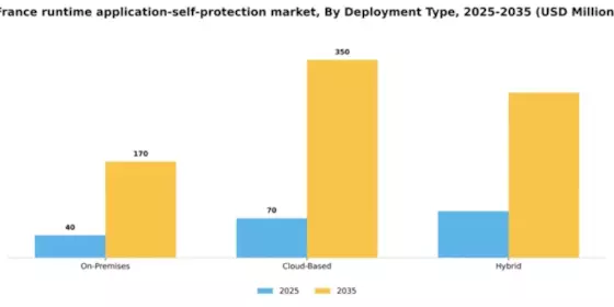 France Runtime Application Self Protection Market Segment Image 1