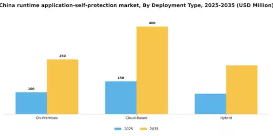 China Runtime Application Self Protection Market Segment Image 1