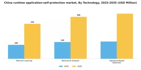 China Runtime Application Self Protection Market Segment Image 3