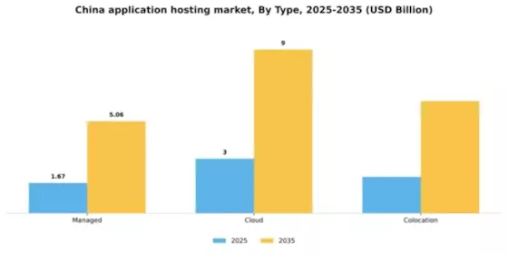China Application Hosting Market Segment Image 2