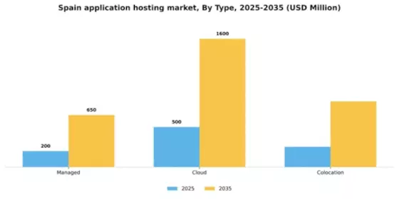 Spain Application Hosting Market Segment Image 2