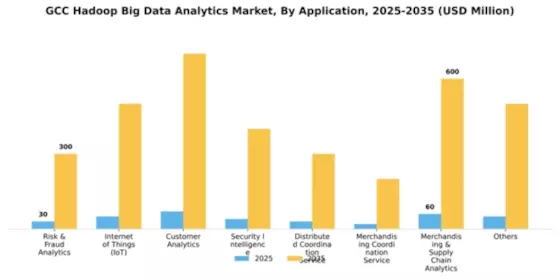 GCC Hadoop Big Data Analytics Market Segment Image 0