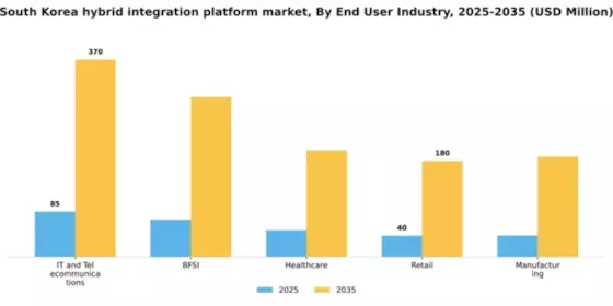 South Korea Hybrid Integration Platform Market Segment Image 1