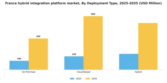 France Hybrid Integration Platform Market Segment Image 0