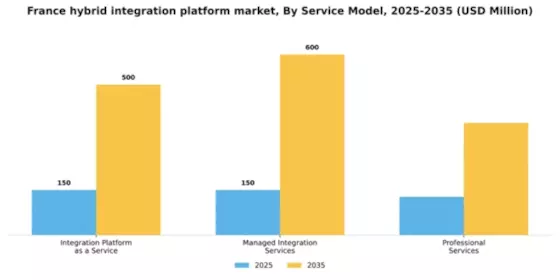 France Hybrid Integration Platform Market Segment Image 3