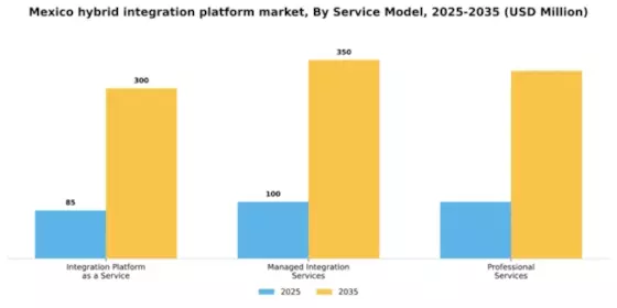 Mexico Hybrid Integration Platform Market Segment Image 3