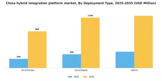 China Hybrid Integration Platform Market Segment Image 0