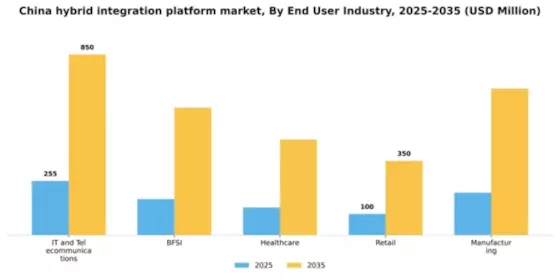 China Hybrid Integration Platform Market Segment Image 1