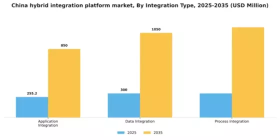 China Hybrid Integration Platform Market Segment Image 2