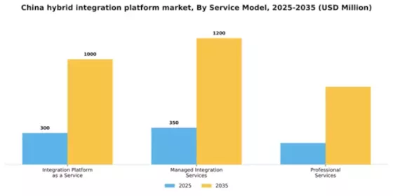 China Hybrid Integration Platform Market Segment Image 3