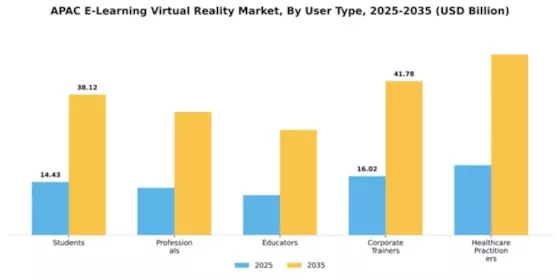 APAC E Learning Virtual Reality Market Segment Image 4