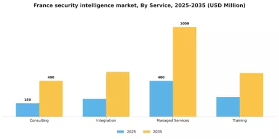 France Security Intelligence Market Segment Image 2