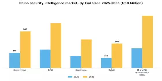 China Security Intelligence Market Segment Image 1