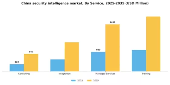 China Security Intelligence Market Segment Image 2