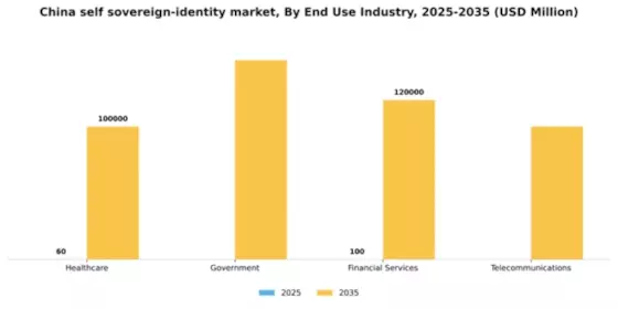 China Self Sovereign Identity Market Segment Image 2