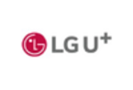 South Korea Heterogeneous Network Market key player