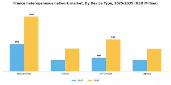 France Heterogeneous Network Market Segment Image 2