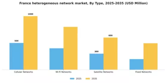 France Heterogeneous Network Market Segment Image 3
