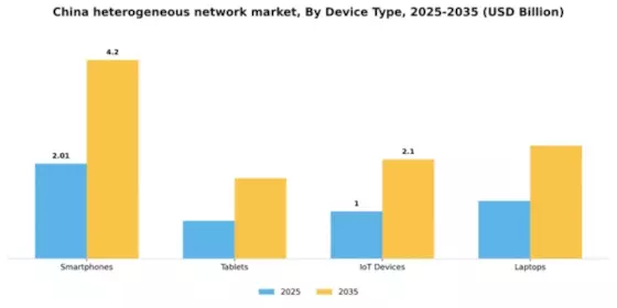 China Heterogeneous Network Market Segment Image 2