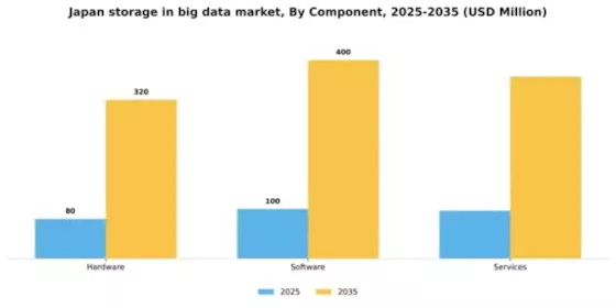Japan Storage In Big Data Market Segment Image 0