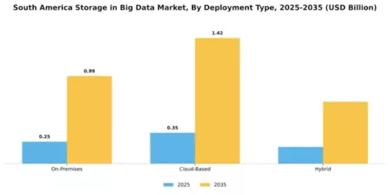 South America Storage In Big Data Market Segment Image 2