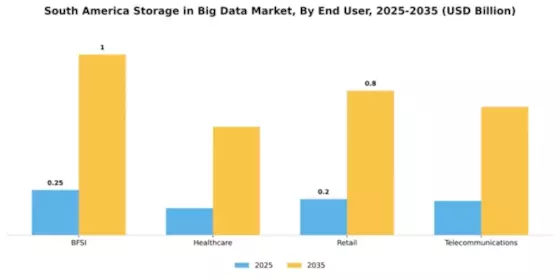 South America Storage In Big Data Market Segment Image 3