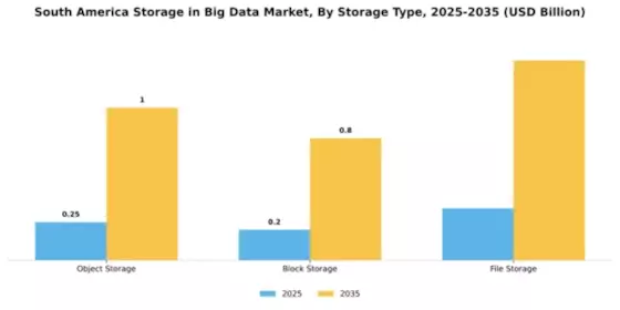 South America Storage In Big Data Market Segment Image 4