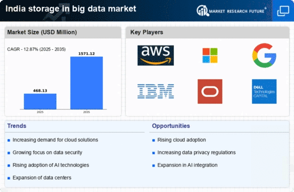 India Storage In Big Data Market Infographic