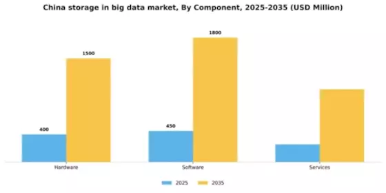China Storage In Big Data Market Segment Image 0