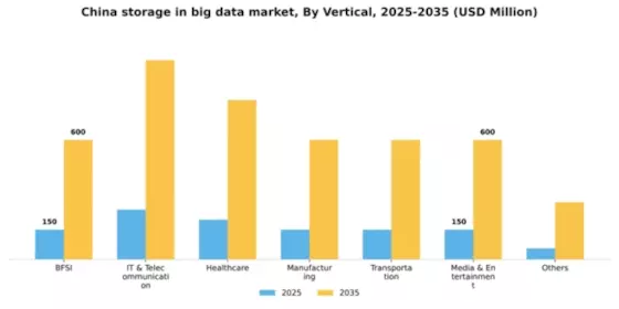 China Storage In Big Data Market Segment Image 1