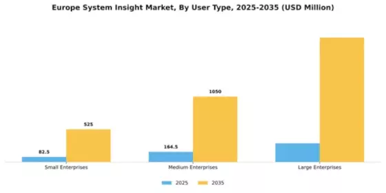 Europe System Insight Market Segment Image 4