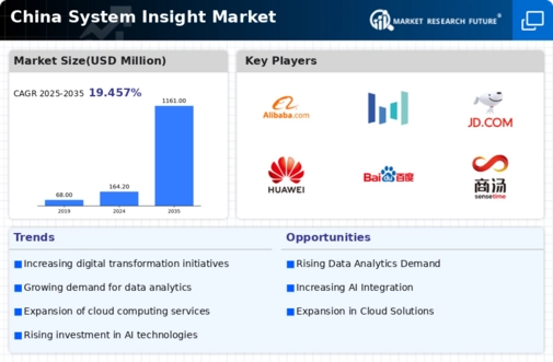 China System Insight Market Infographic
