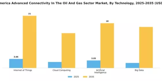 North America Advanced Connectivity In The Oil Gas Sector Market Segment Image 4