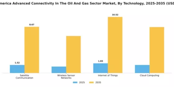 South America Advanced Connectivity In The Oil Gas Sector Market Segment Image 4