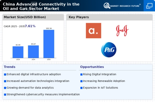 China Advanced Connectivity In The Oil Gas Sector Market Infographic