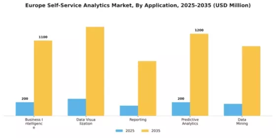 Europe Self Service Analytics Market Segment Image 0