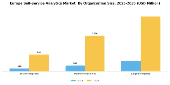 Europe Self Service Analytics Market Segment Image 3