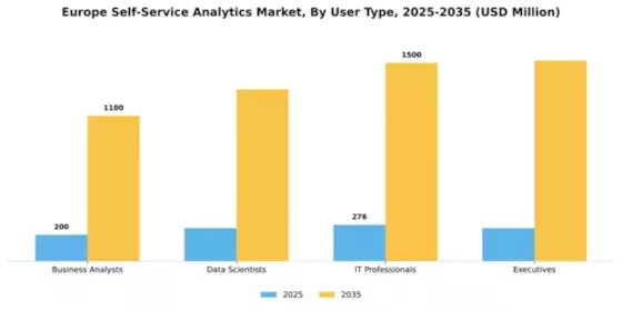 Europe Self Service Analytics Market Segment Image 4