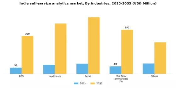 India Self Service Analytics Market Segment Image 2