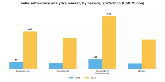 India Self Service Analytics Market Segment Image 3
