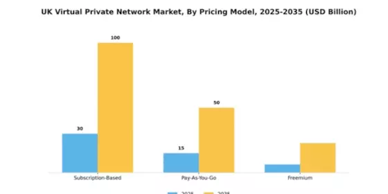 UK Virtual Private Network Market Segment Image 3